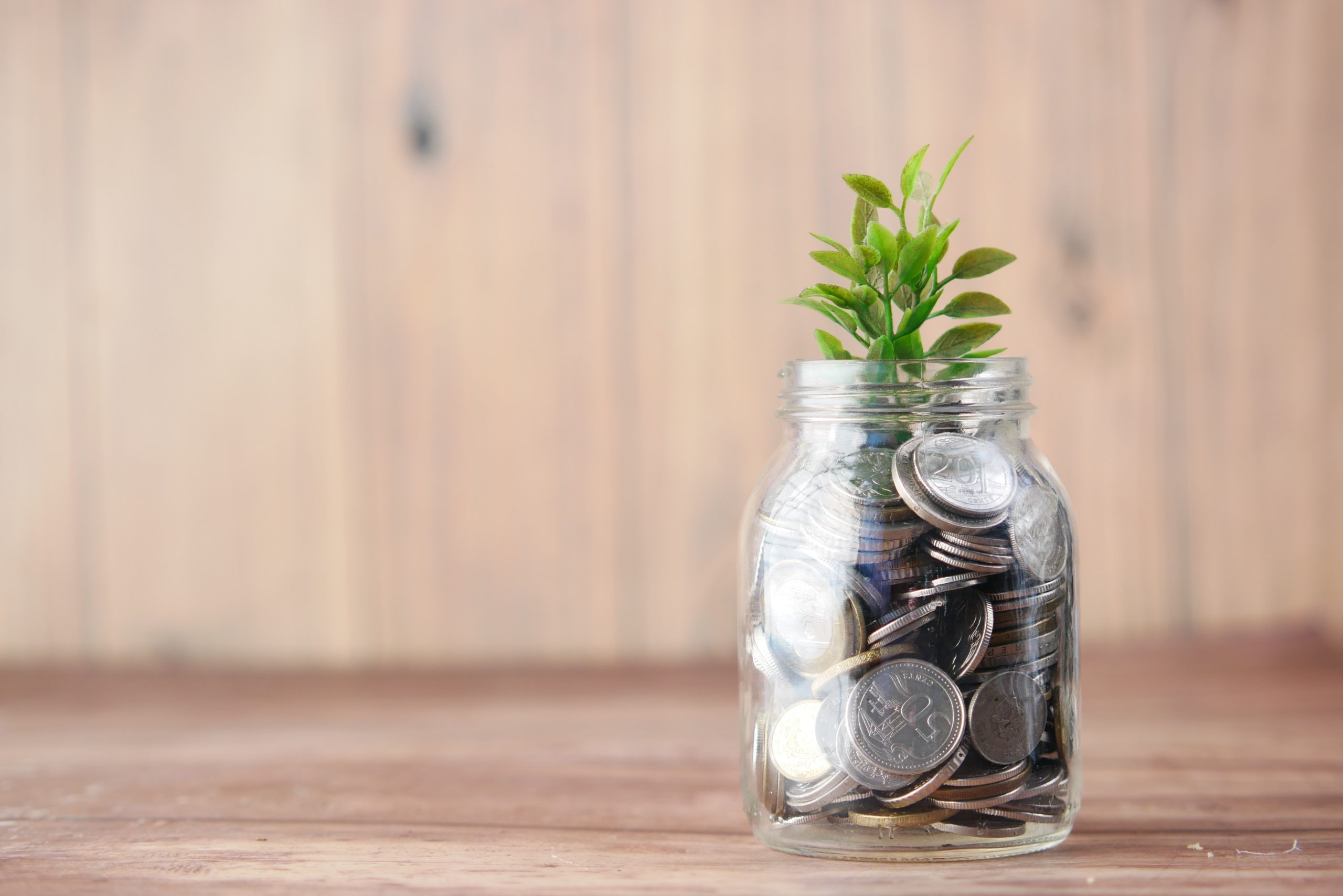 Maximizing Returns: Smart Tips For Companies To Invest Their Profits
